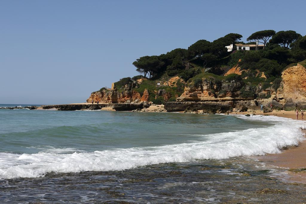 Mira Parque Panzió Albufeira Kültér fotó